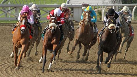 bet belmont|2024 Belmont Stakes Betting Guide: Strategy, Tips & Advice.
